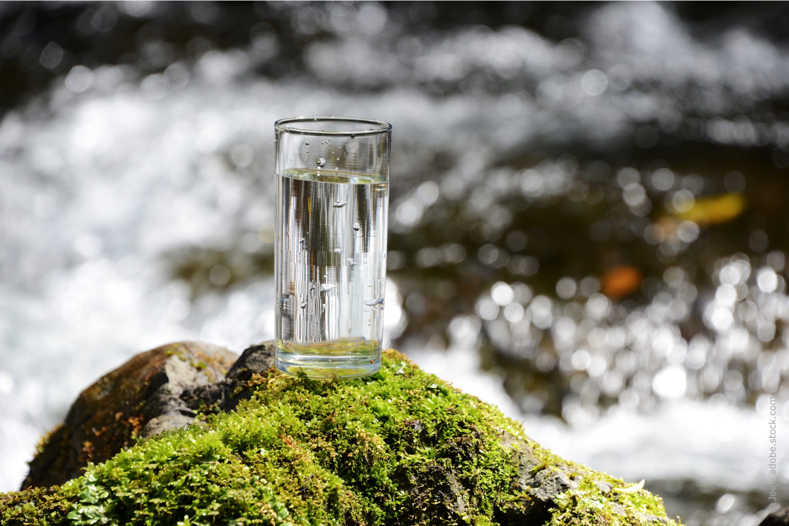Aus der Natur bis zum Wasserhahn – Forum Trinkwasser